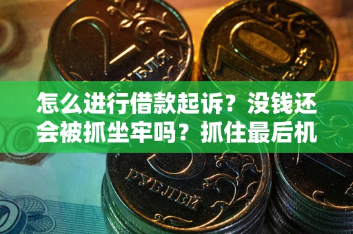 北京怎么进行借款起诉？没钱还会被抓坐牢吗？抓住最后机会！