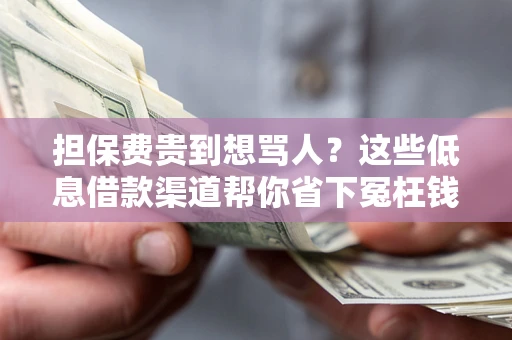 北京担保费贵到想骂人？这些低息借款渠道帮你省下冤枉钱