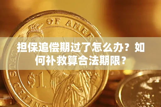 北京担保追偿期过了怎么办？如何补救算合法期限？
