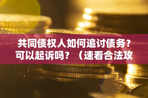 北京共同债权人如何追讨债务？可以起诉吗？（速看合法攻略）