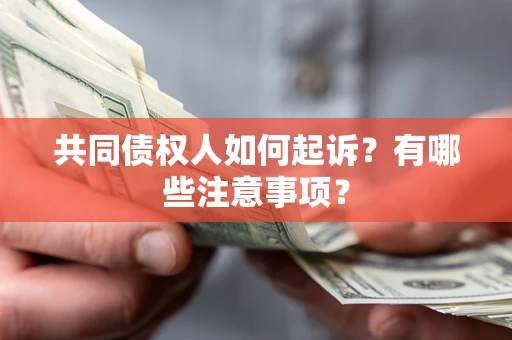 北京共同债权人如何起诉？有哪些注意事项？